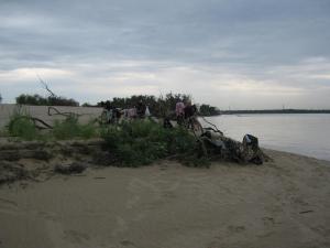IMG_3631.JPG