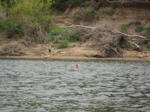 IMG_3658.JPG