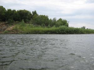 IMG_3656.JPG