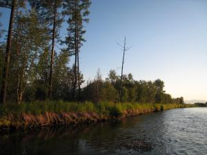 IMG_0778.JPG