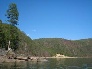 IMG_0767.JPG