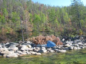 IMG_0762.JPG