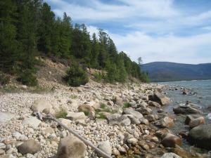 IMG_0685.JPG
