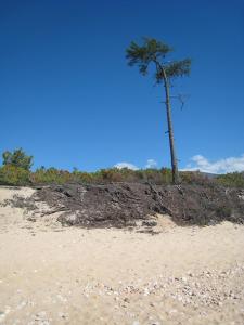 IMG_0735.JPG