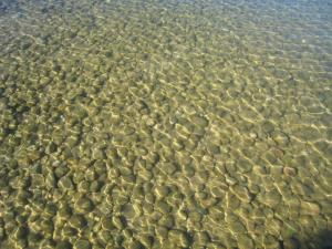 IMG_09.JPG