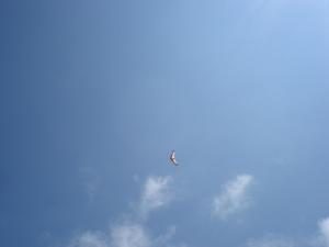 DSC01972.JPG