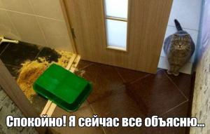 Спокойно, я сецчас все объясню.jpg