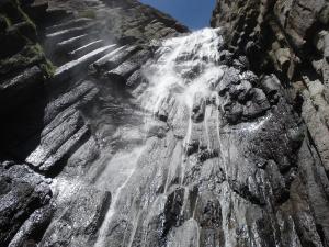 DSC02037.JPG