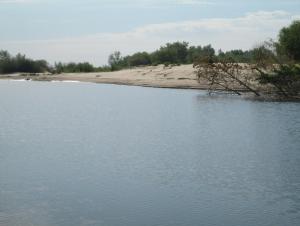 IMG_0051.JPG