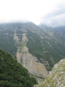 IMG_2038.JPG