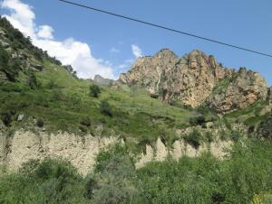 IMG_1986.JPG
