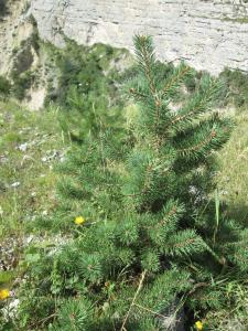 IMG_1959.JPG
