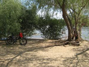 IMG_5107.JPG