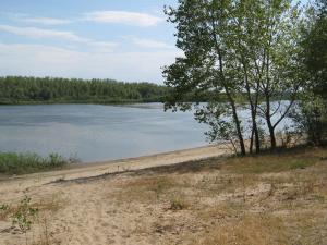 IMG_5210.JPG