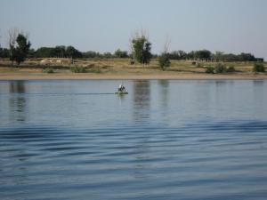 IMG_5121.JPG