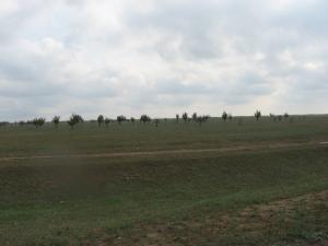 IMG_3919.jpgу.jpg
