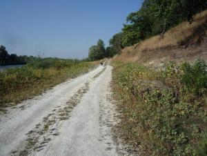 14.JPG
