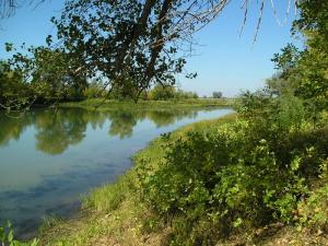 P1010048-1.jpg