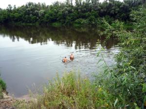 P1090483_новый размер.JPG