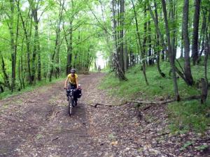 P1090490_новый размер.JPG