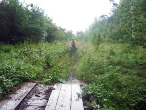 P1090498_новый размер.JPG