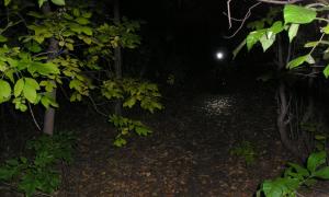 Foto12.jpg