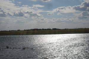DSC07524.JPG