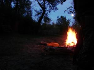 DSC07335.JPG
