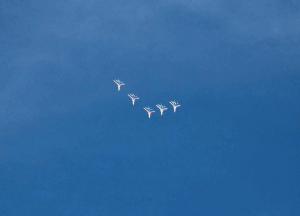 20120915_153522.JPG