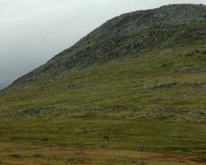 2704.jpg