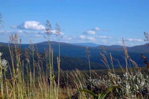 20120804_175442.jpg