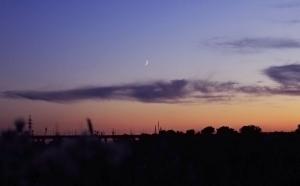 IMG_0385 1.jpg