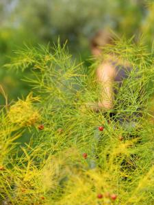 IMG_1096 копия.jpg