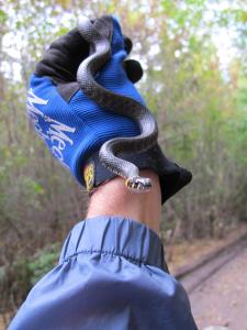 post-177-13897038112063_thumb.jpg