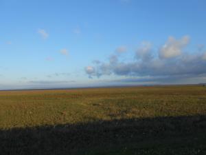 DSCN0012.JPG