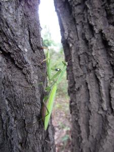 IMG_2998.jpg