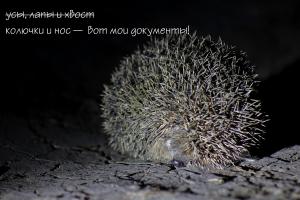 IMG_3014 (копия) копия.jpg