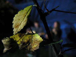 09.09.26_верблюд_025.jpg