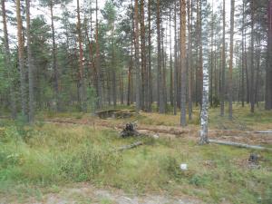 DSCN1088.JPG