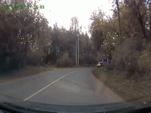 Олень.gif