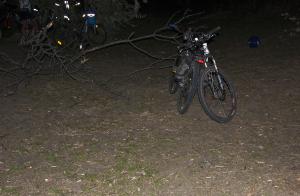 DSC_0012_1.jpg