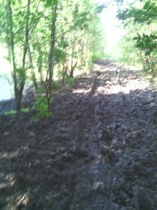 IMG_20130707_093457.jpg