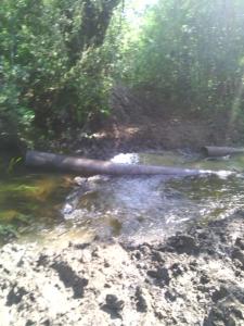 IMG_20130707_093345.jpg