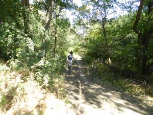 DSCN1575.jpg