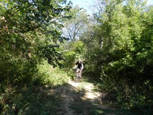 DSCN1577.jpg