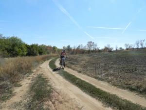 DSCN1558.jpg