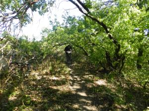 DSCN1573.jpg