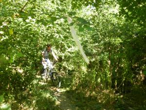 DSCN1566.jpg