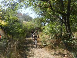 DSCN1588.jpg
