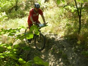 DSCN1585.jpg